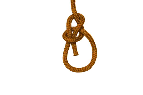 A bowline knot tied in orange rope
